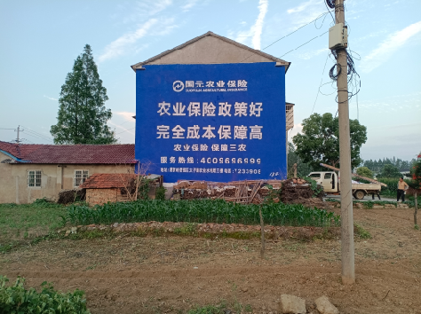 金川墙体广告为何受追捧？