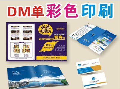 金川单页印刷，色彩搭配简单。